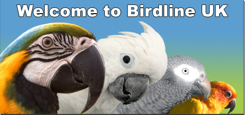 Birdline